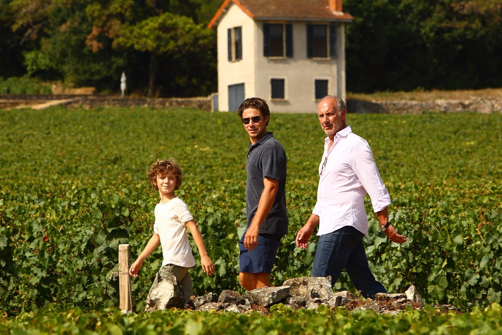 RECOMMENDATION OF THE DAY! DOMAINE HENRI BOILLOT - Wainscott Main Wine & Spirits