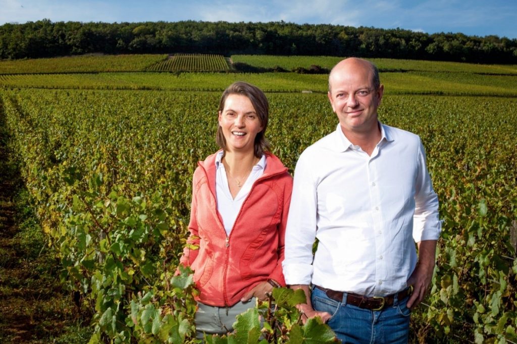 DOMAINE CHANDON DE BRIAILLES 🇫🇷 - Wainscott Main Wine & Spirits